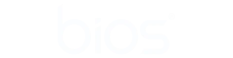 bios.png